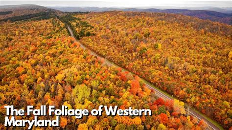 The Fall Foliage Of Western Maryland Youtube