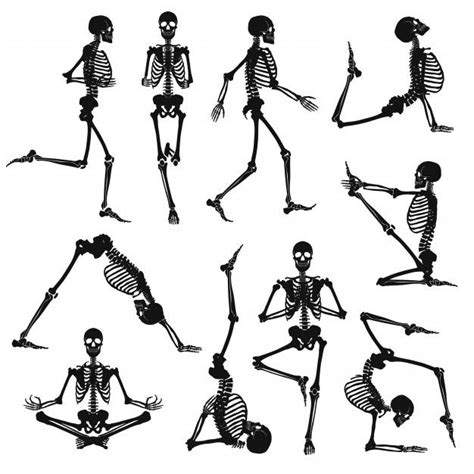 Download Black Human Skeletons For Free Human Skeleton Skeleton Art