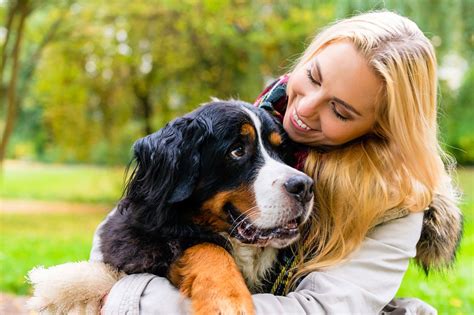 How To Find A Good Pet Sitter In Dc Washingtonian
