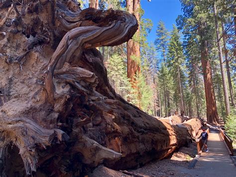 Visit Porterville: 2024 Travel Guide for Porterville, California | Expedia