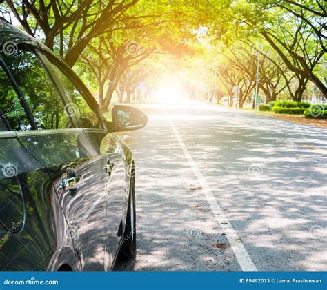 Car On Road Under Trees Stock Image Image Of Travel 89492013