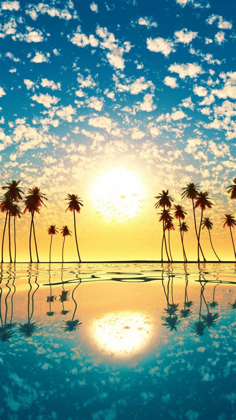 Sunset Palm Tree Cloud Sky Reflection Free 4k Ultra Hd
