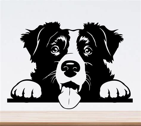 Cute Border Collie Svg Peeking Dog Svg File For Cricut Face Head