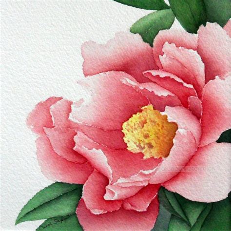 Rose Peony Watercolor Flower Painting 12 X 12 By Carolsapp On Etsy