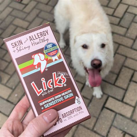 Licks Dog Skin And Allergy Support — Licks Pill Free Solutions