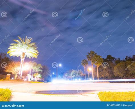 Palm Tree At Night Stock Image Image Of Busy Live 140618525