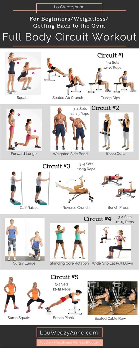 Full Body Workout Plan Circuit Training Fitness Full
