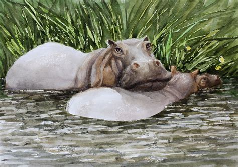 Hippo Watercolor Painting Original Animal Nursery Art Wall Etsy In