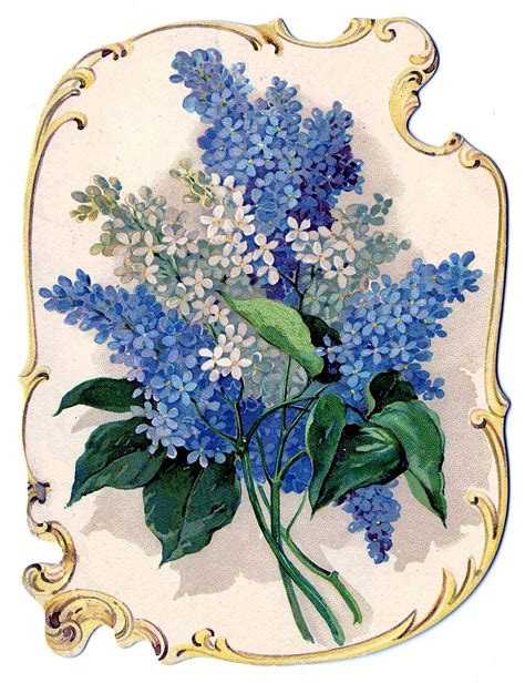 Victorian Clip Art Stunning Lilacs Perfume Ad The