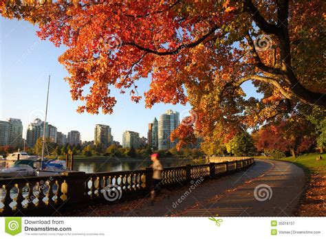 Autumn Run Stanley Park Seawall Vancouver Stockbild Bild Von
