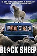 Black Sheep - Rotten Tomatoes