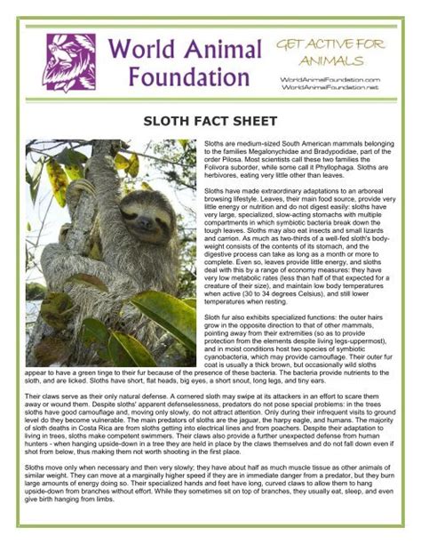 Sloth Fact Sheet World Animal Foundation
