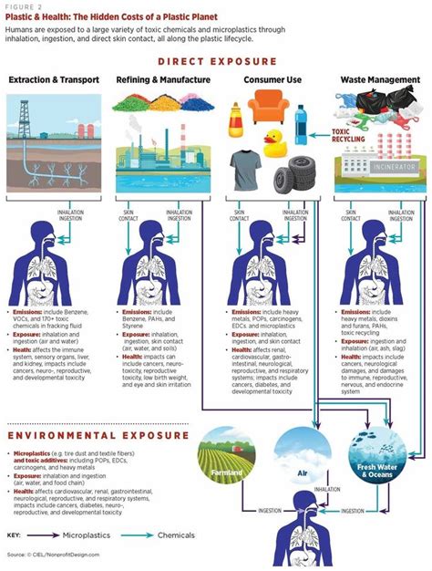 An Info Poster Showing The Effects Of Environmental Exposure