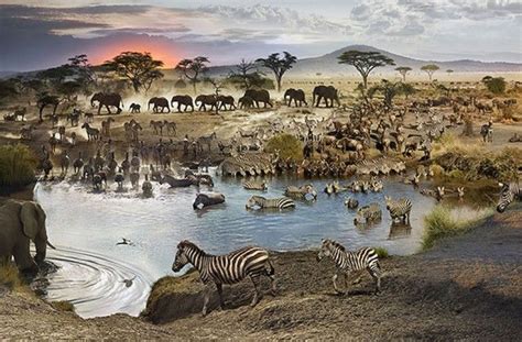 Incredible Image Captures A Watering Hole In Africa From Day To Night