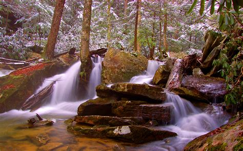 Forest Winter Rocks Waterfall Nature 2560x1600