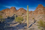 Sonoran Desert - Jamie Boyle Photography