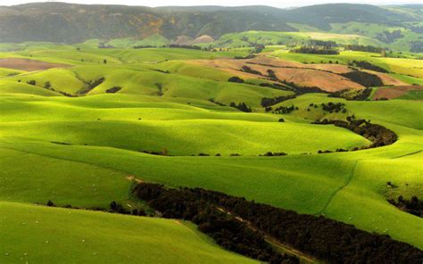 New Zealands Largest Farmer To Sell Off 10 Farms Totalling 11650ha