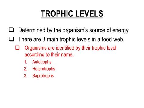 Ppt Energy Flow Pyramids And Trophic Levels Powerpoint Presentation