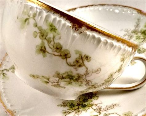 Austrian Hand Painted Porcelain Tea Cup Saucer Pastel Floral Etsy