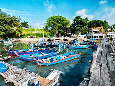 Green turtle, see cucumber, coral, giant groupa, one whale skeleton. Batu Maung Fishing Village - Historical place - Penang ...