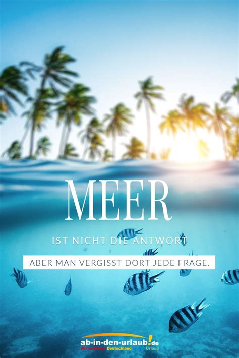 Die hoffnung auf einen langersehnten urlaub im ausland wächst. Geht es euch auch immer so? #Meer #urlaub #reisen #travel ...
