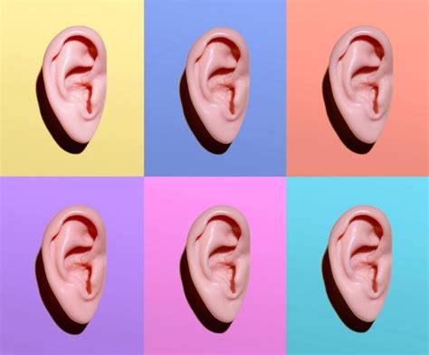 18 Interesting Facts About Ears And Hearing Perfect Hearing