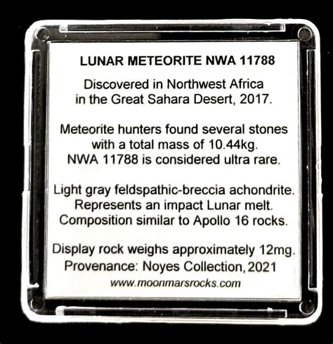 Moon And Mars Meteorite Rock Displays 2 Deluxe Editions Easels