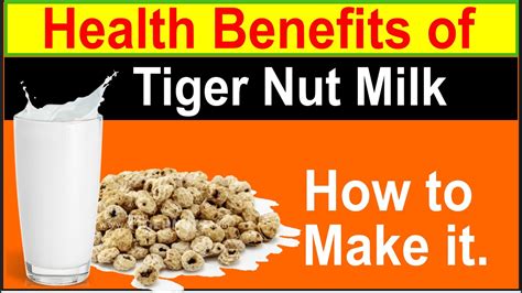 Health Benefits Of Tiger Nut Milk Making Tiger Nut Milk With A