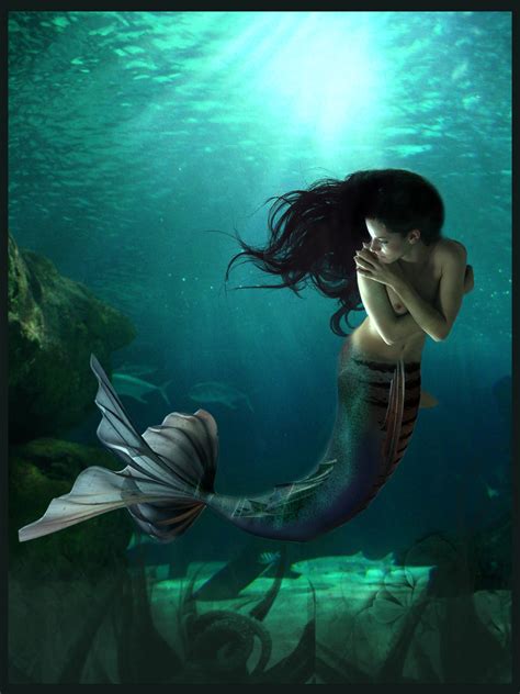 Mermaids Dibujos De Sirenas Sirenas Mitologia Sirenas De Fantas A