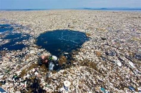 Laut Dunia Darurat Sampah Plastik Indonesia Turut Menyumbang National Geographic