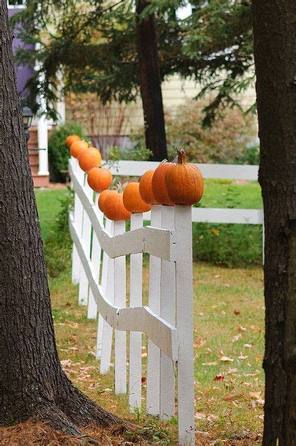 Pumpkin Fence Beautiful Fall Fall Decor Fall Thanksgiving