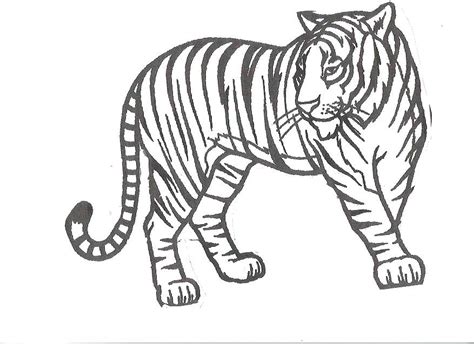 Explore 623989 free printable coloring pages for you can use our amazing online tool to color and edit the following realistic tiger coloring pages. Realistic Tiger Coloring Pages at GetColorings.com | Free ...