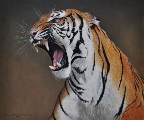 TIGER SNARL 12 By 10 Inches Oil On Panel By Chandlerwildlifeart