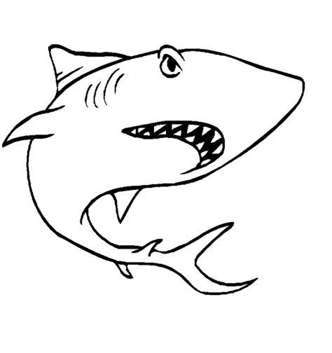 Sea animal coloring pages,free printable kids ocean animals coloring book