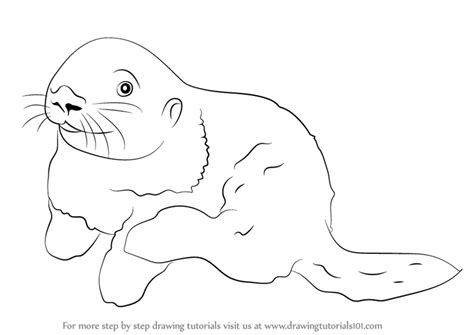 We did not find results for: Learn How to Draw a Sea Otter (Marine Mammals) Step by Step : Drawing Tutorials