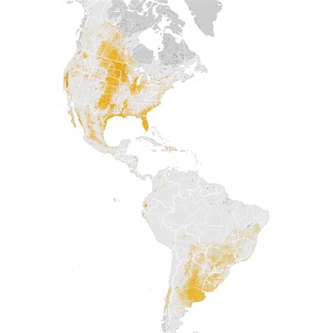 Pied Billed Grebe Abundance Map Post Breeding Migration Ebird