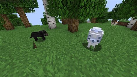 5 Best Minecraft Mods And Resource Packs For Dogs