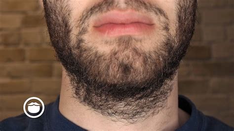 How To Reduce Beard Growth Cousinyou14