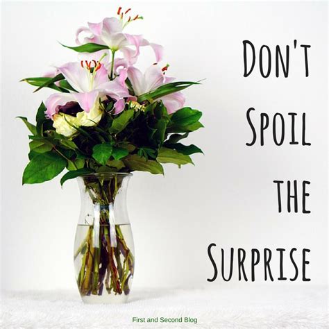 Dont Spoil The Surprise First And Second Blog