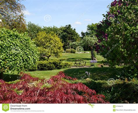 Traditional English Garden In Summer Stock Image Image Of Foliage