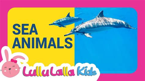 Animals For Kids Learning Sea Animals Names Sea Animals Youtube