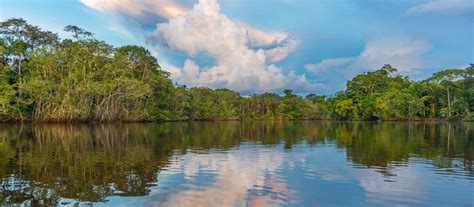 Contact @amazonhelp for customer support. Column: Positive Tourism in the Amazon | Jacada Travel