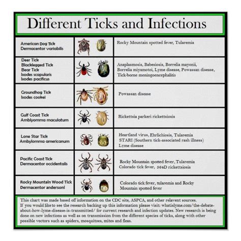 Different Ticks And Infections Chart Lyme Disease
