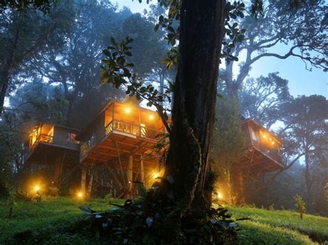 Top Best 5 Wayanad Kerala Tree House Resort Kerala Treehouse