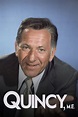 Quincy serie completa, streaming ita, vedere, guardare