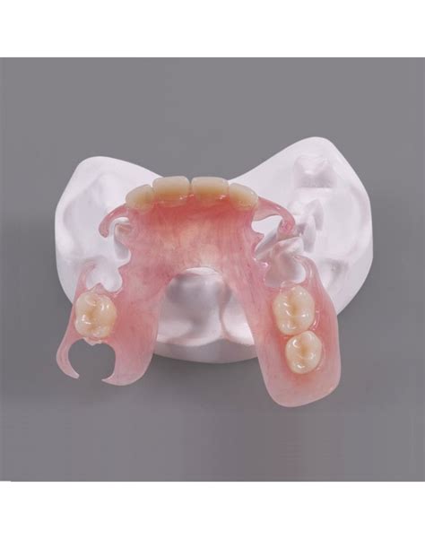 Prótesis parcial removible acrílica inmediata dentadura postiza
