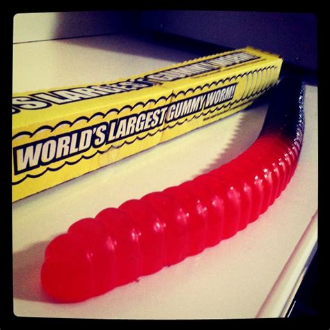 worlds largest gummy worm and not a sex toy owen billcliffe flickr
