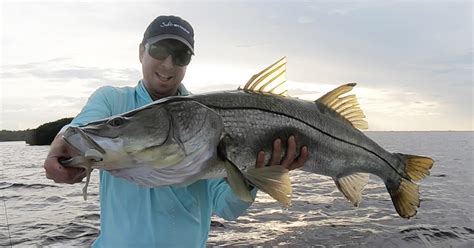 3 Tips To Land Big Fish On Light Tackle