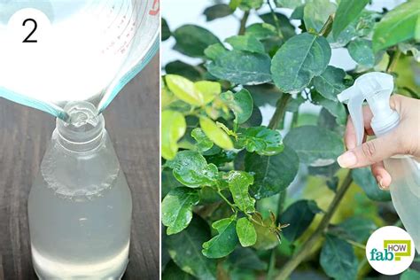 4 Diy Homemade Bug Spray Recipes Non Toxic And It Works Fab How