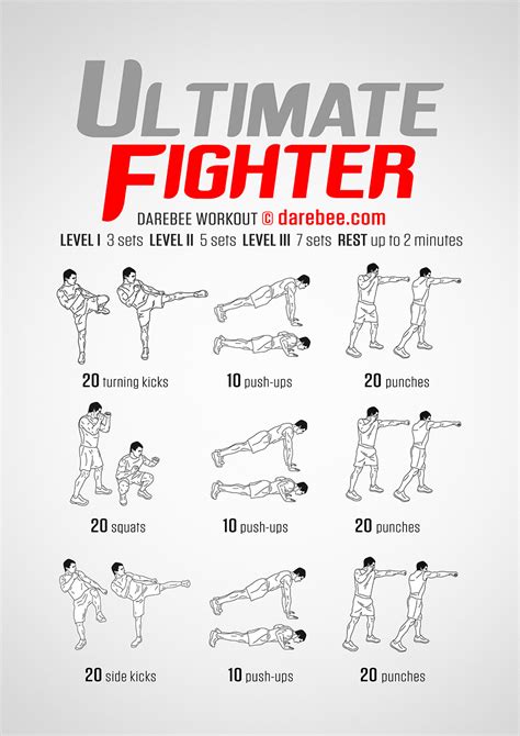 Ultimate Fighter Workout